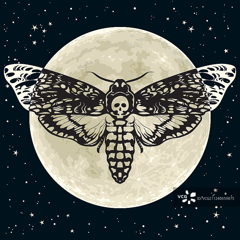 鬼脸天蛾在满月夜空下图片素材