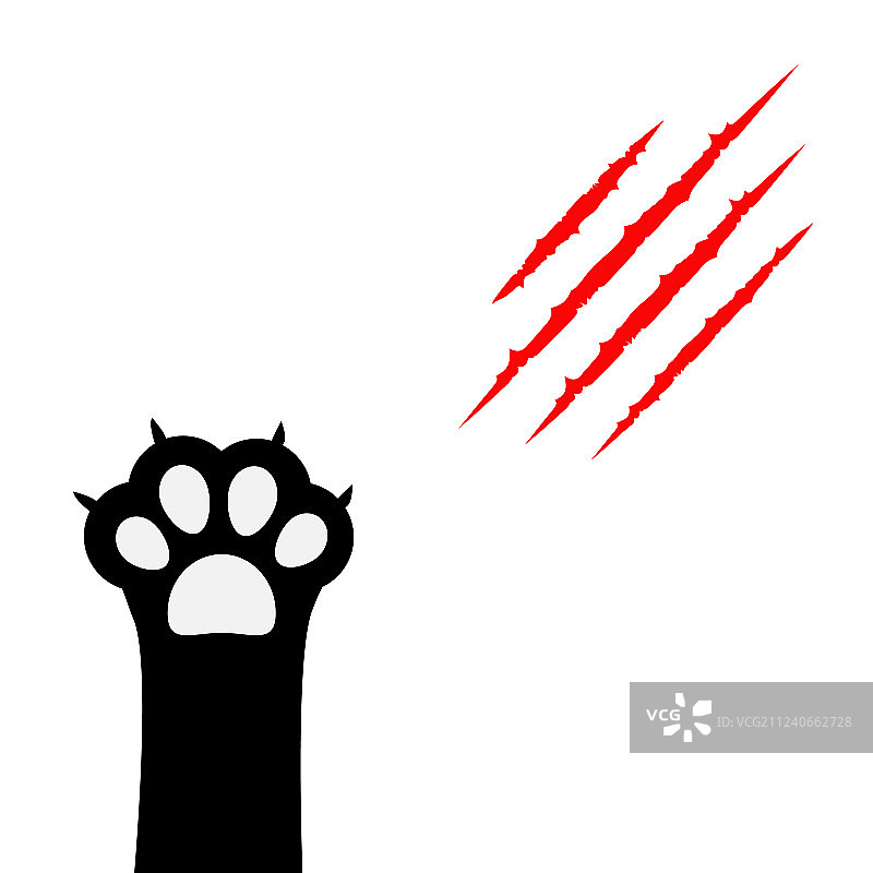 黑猫抓挠爪印腿脚流血图片素材