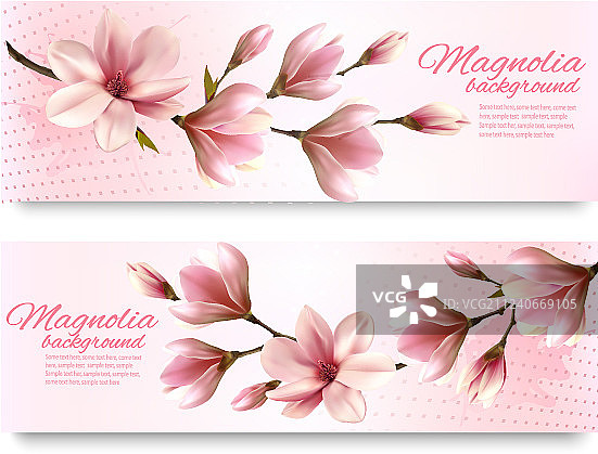 美丽玉兰的自然春天banner图片素材