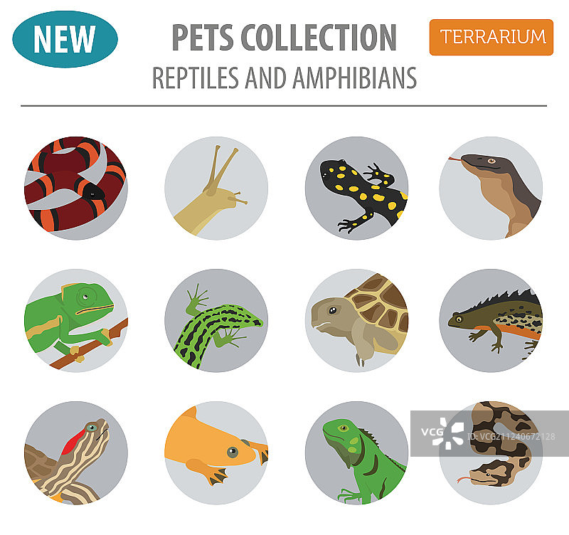 宠物爬行动物和两栖动物图标扁平风格图片素材