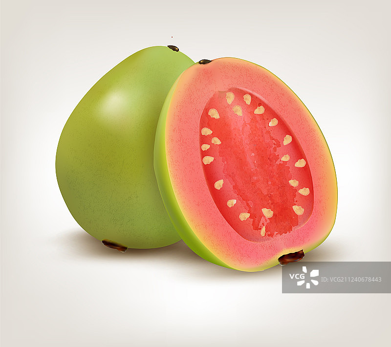 新鲜的绿色番石榴图片素材