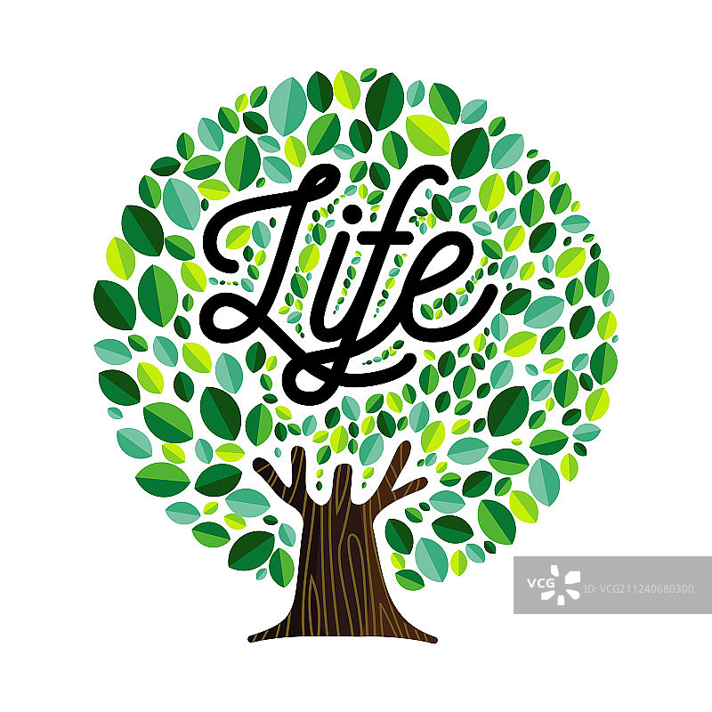 绿叶生命之树概念图片素材