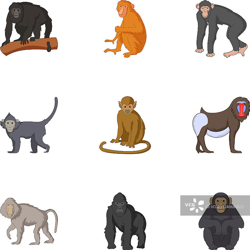 猴子个体图标集图片素材