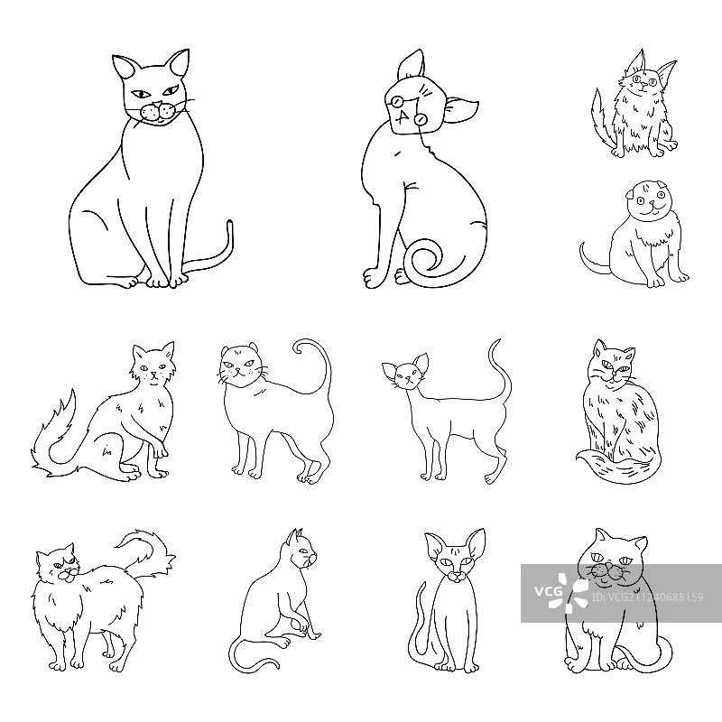 猫的品种轮廓图标合集图片素材