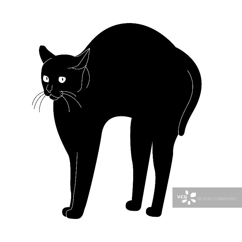 黑色的猫图片素材