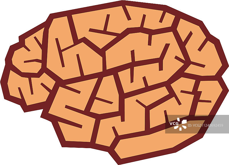 人类的大脑图片素材