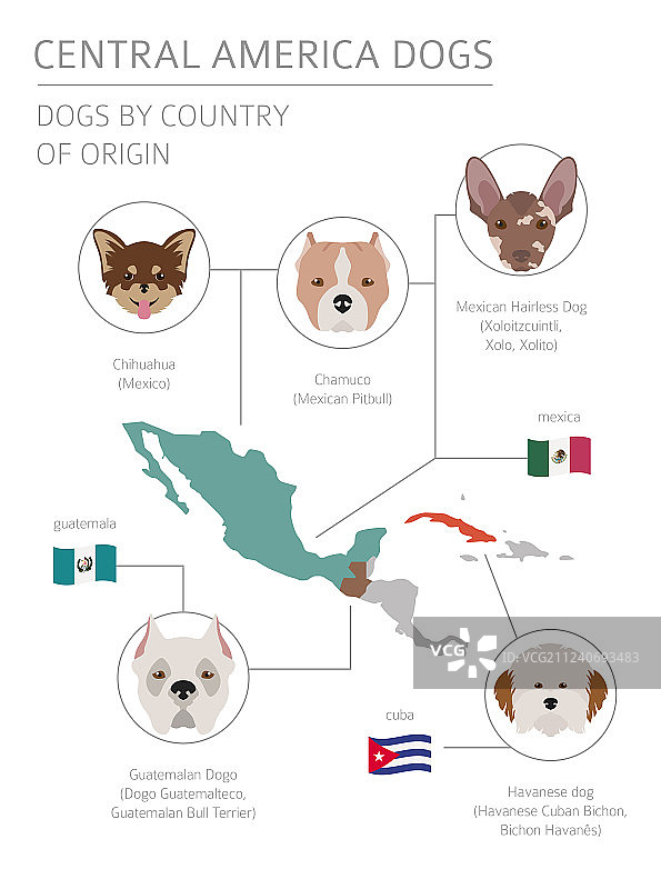 原产拉丁美洲的犬类图片素材