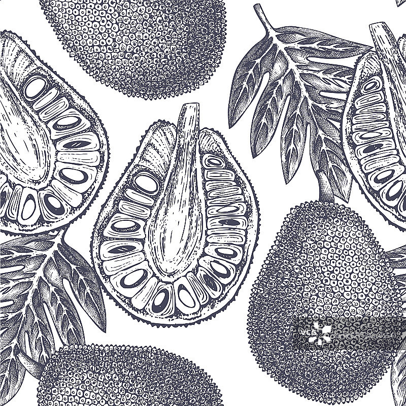 面包果背景图片素材