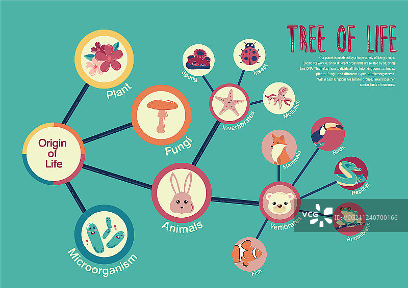 生命之树图片素材