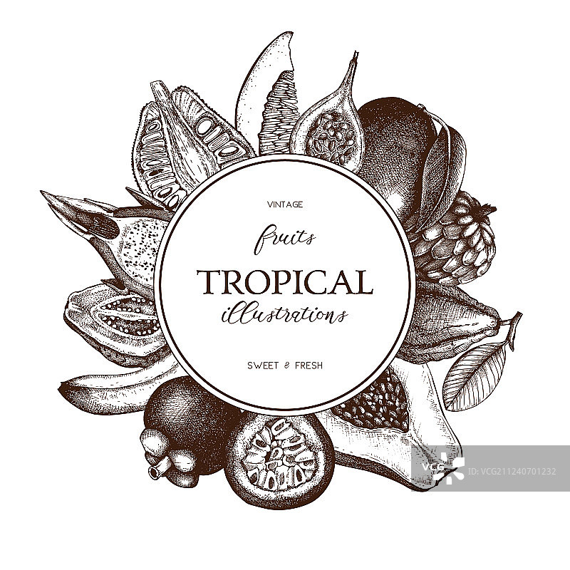 热带水果相框图片素材