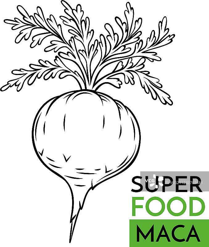 玛卡超级食品图标图片素材