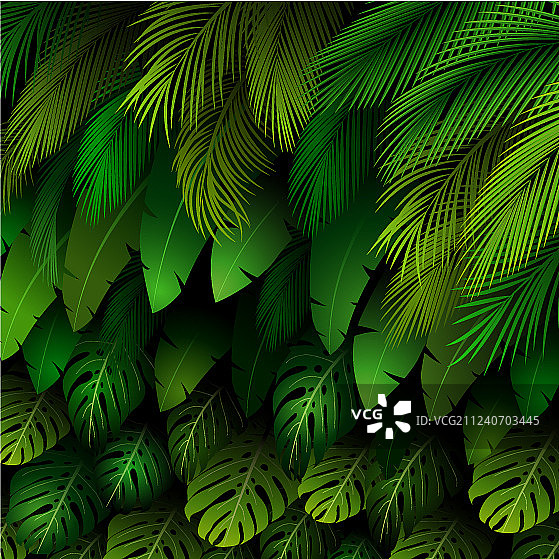 黑色背景上的热带树叶异域风图案图片素材