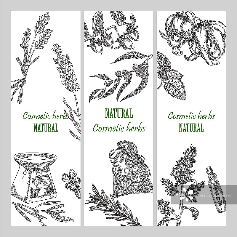 手绘化妆品草本植物banner图片素材