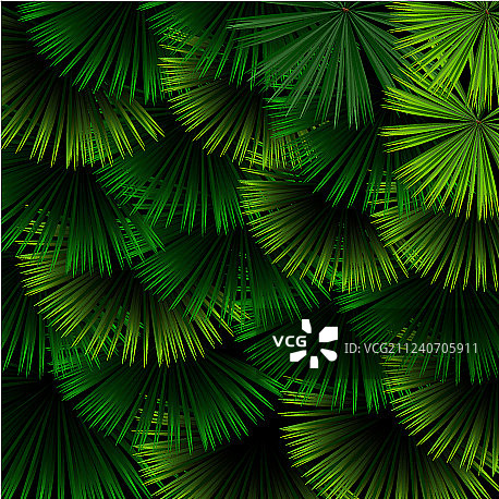 黑色背景上的热带树叶异域风图案图片素材