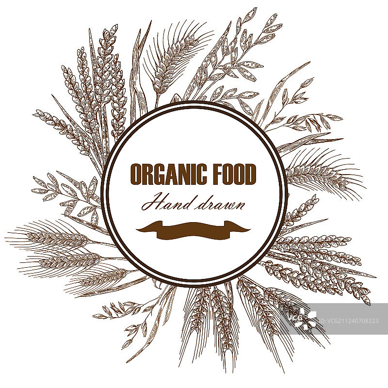 手绘小麦烘焙设计模板图片素材