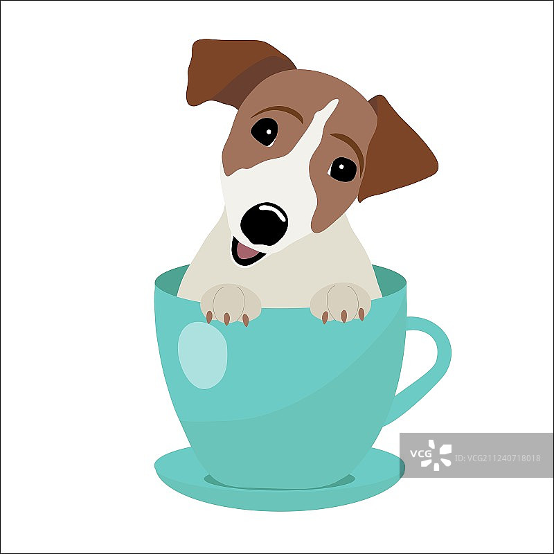 蓝色茶杯里的杰克罗素梗犬图片素材