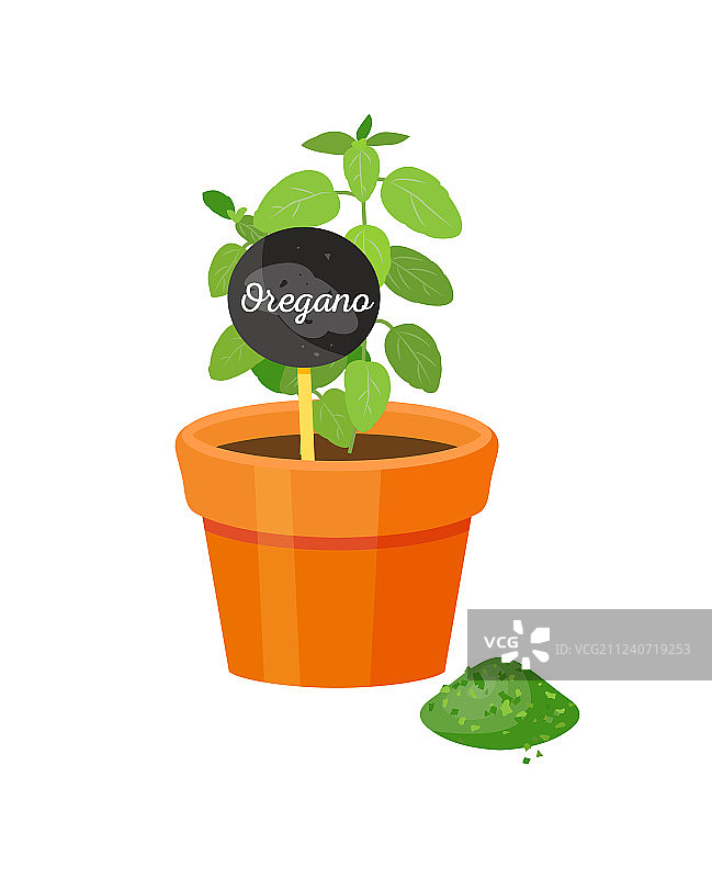 牛至和桌子图片素材