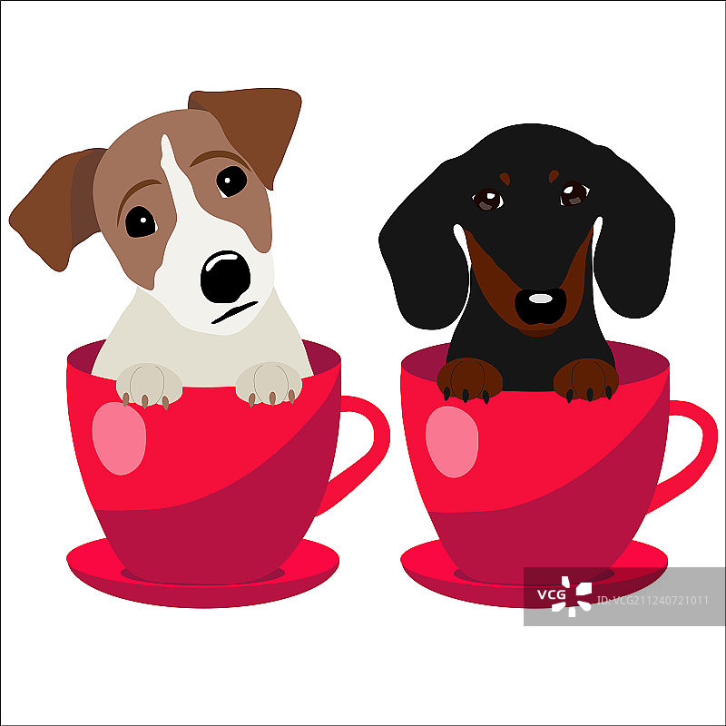 红色装扮的杰克罗素梗犬和腊肠犬图片素材
