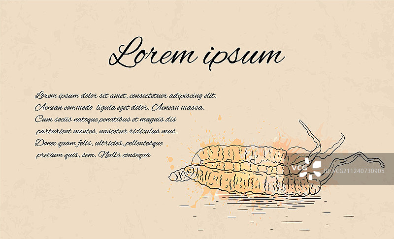 线性图案留白模板图片素材