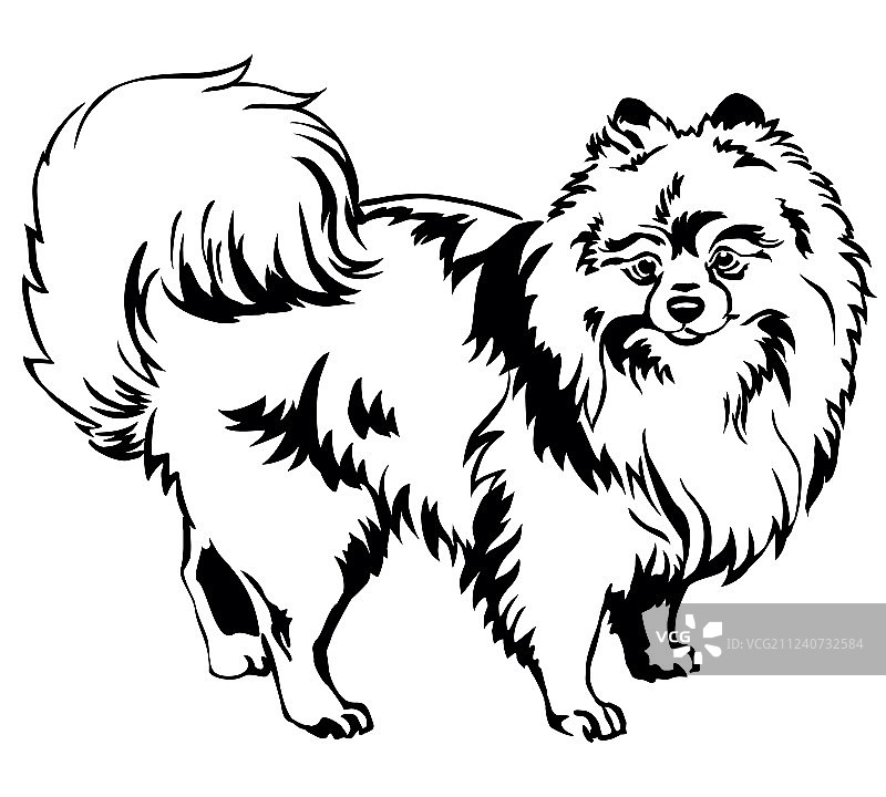 博美犬装饰立像图片素材