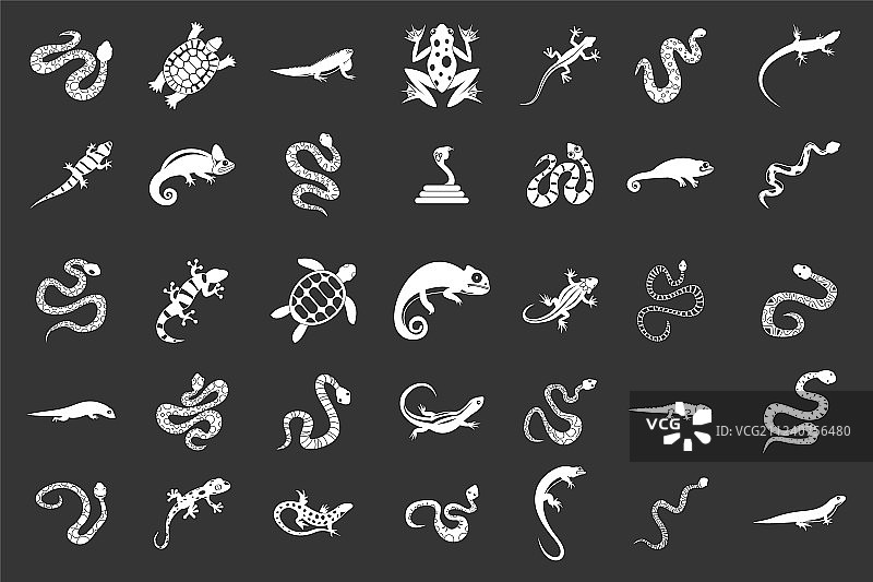 爬行动物灰色图标集图片素材