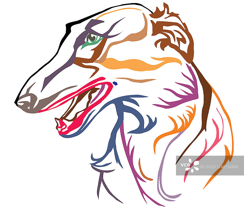 俄罗斯猎狼犬彩色装饰肖像图片素材