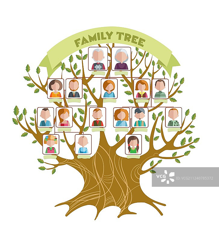 家庭树概念图片素材