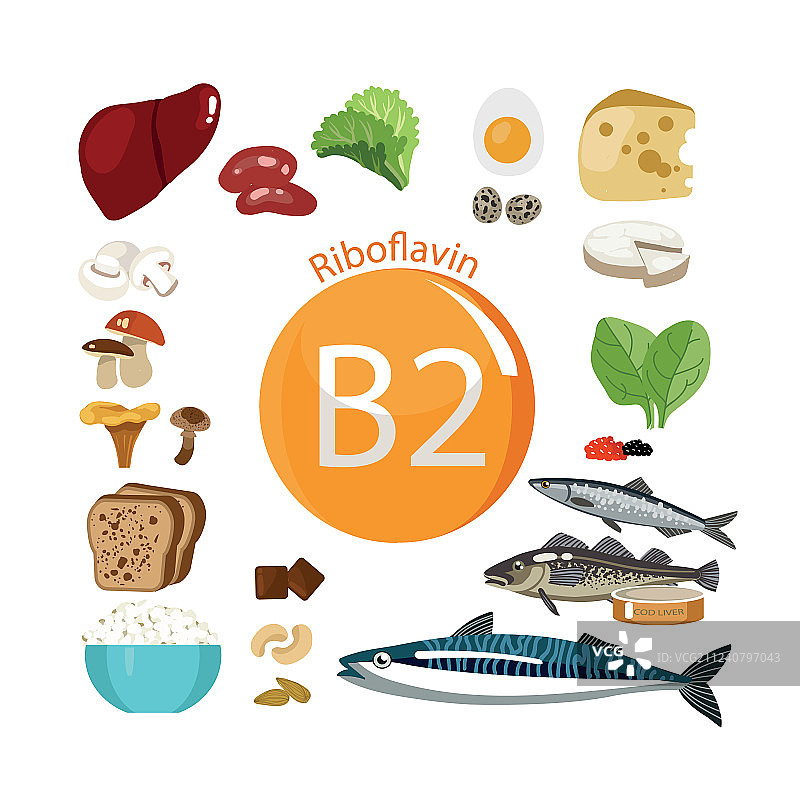 维生素B2核黄素图片素材