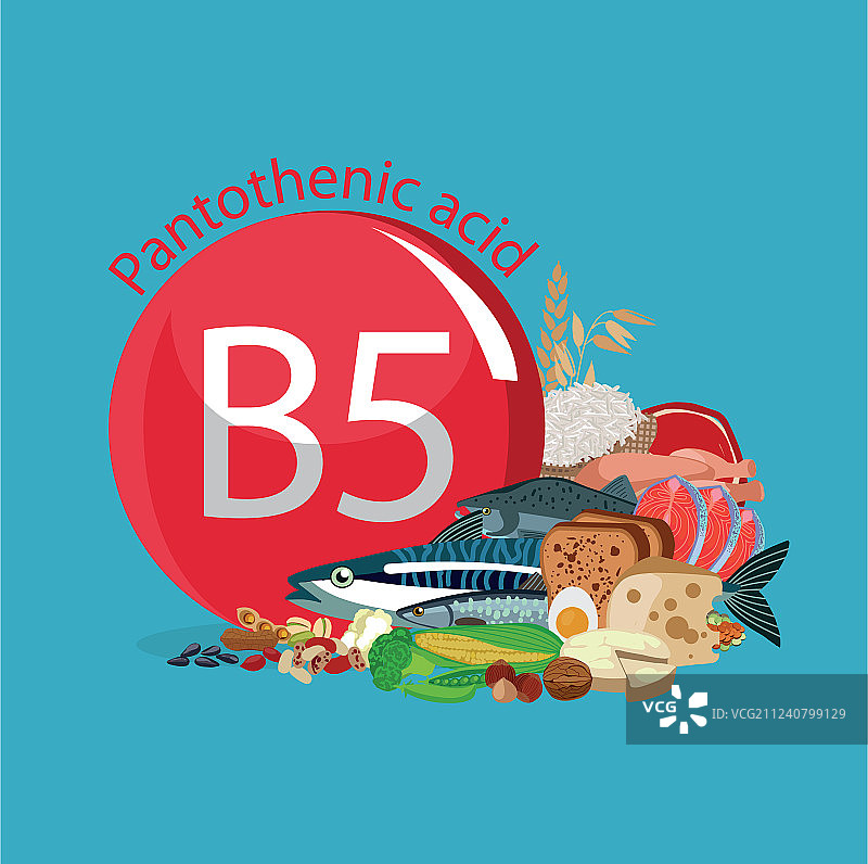 维生素B5泛酸图片素材