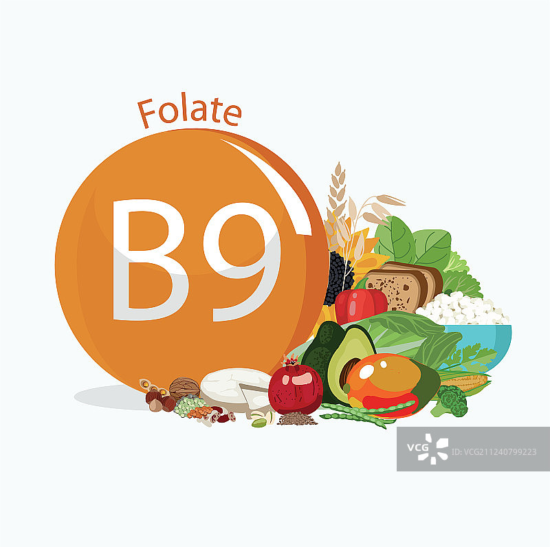 维生素B9叶酸图片素材