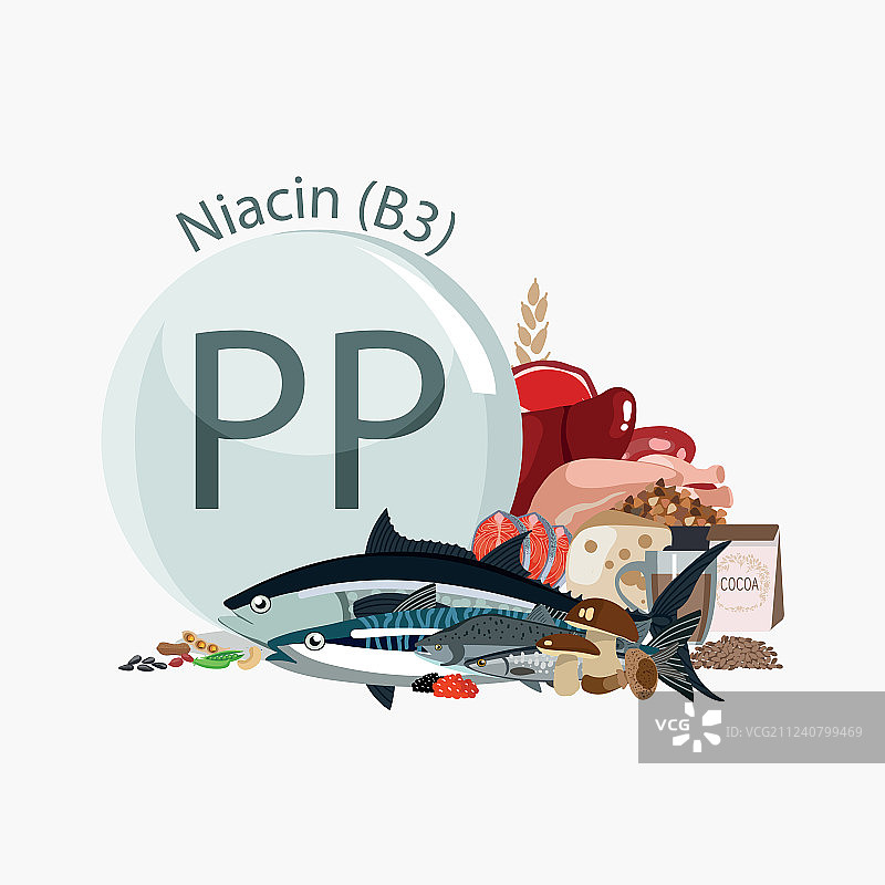 维生素PP B3图片素材