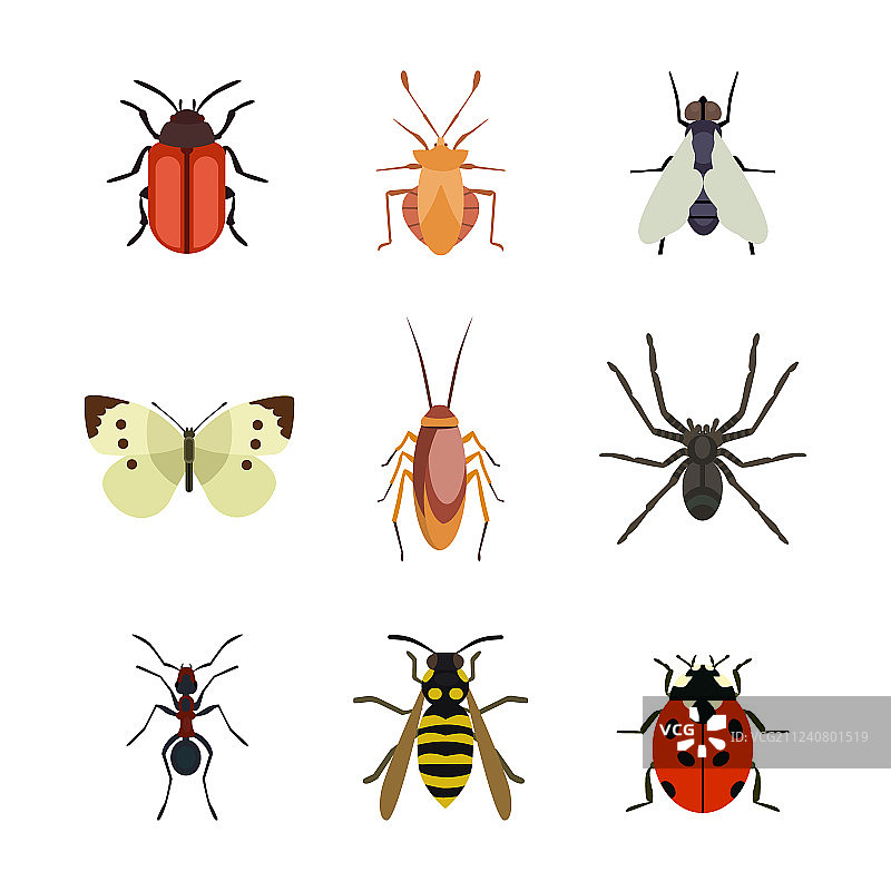 昆虫图标扁平蝴蝶图片素材