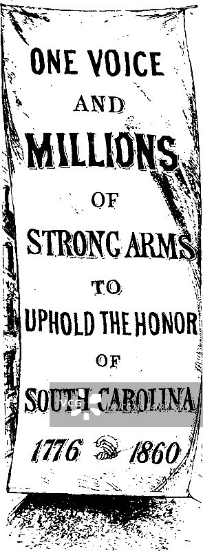 南卡罗来纳州内战旗帜（复古）图片素材