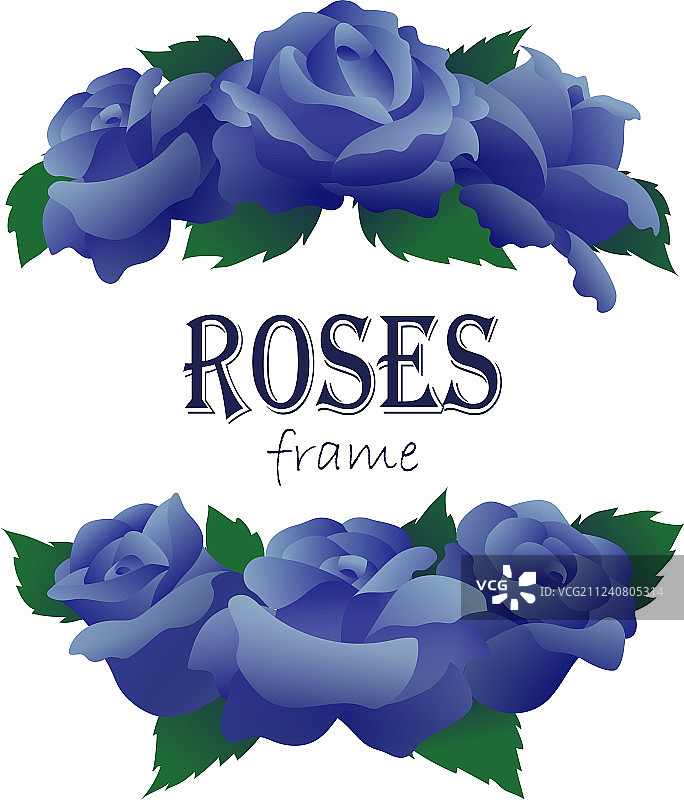 蓝色玫瑰花枝半圆形图案图片素材