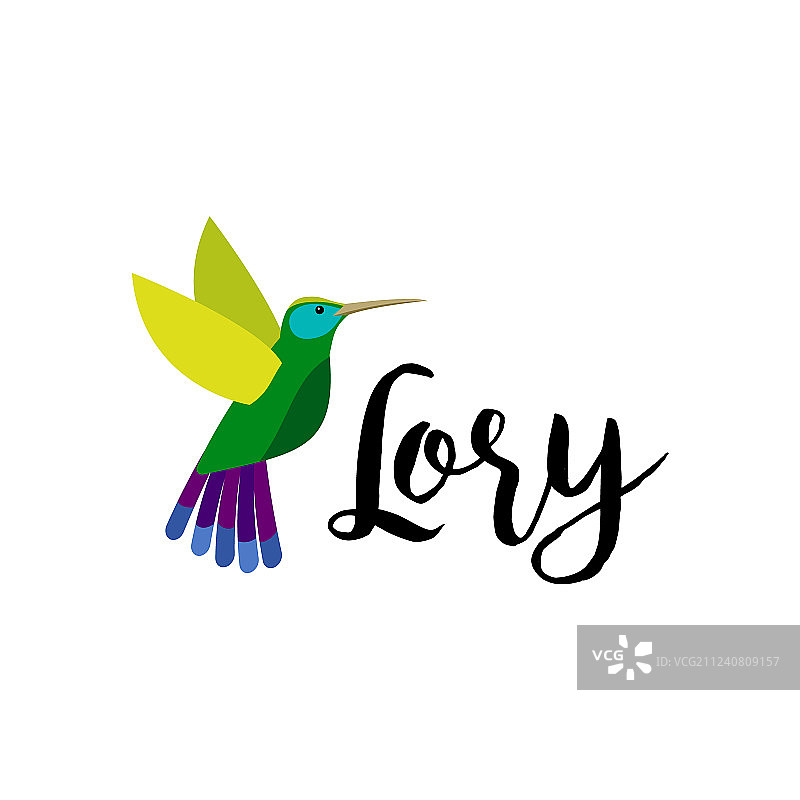 热带异域鹦鹉图片素材