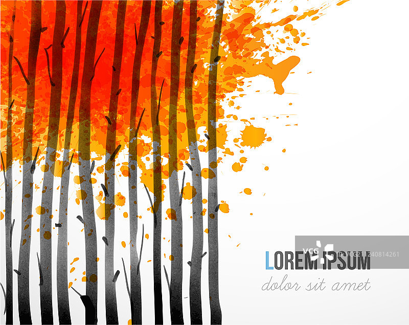 带有秋季森林树木和留白区域的背景图片素材