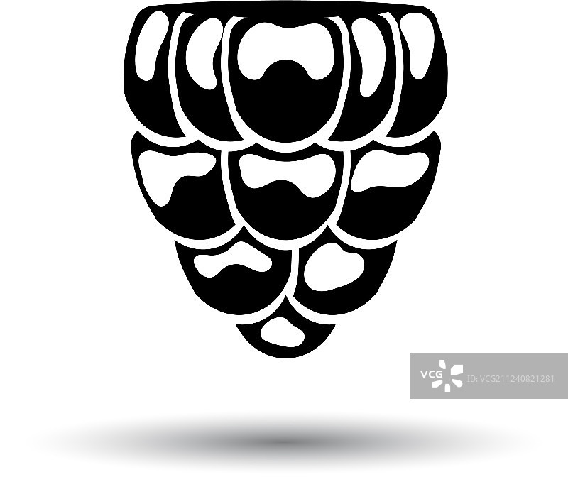 覆盆子图标图片素材