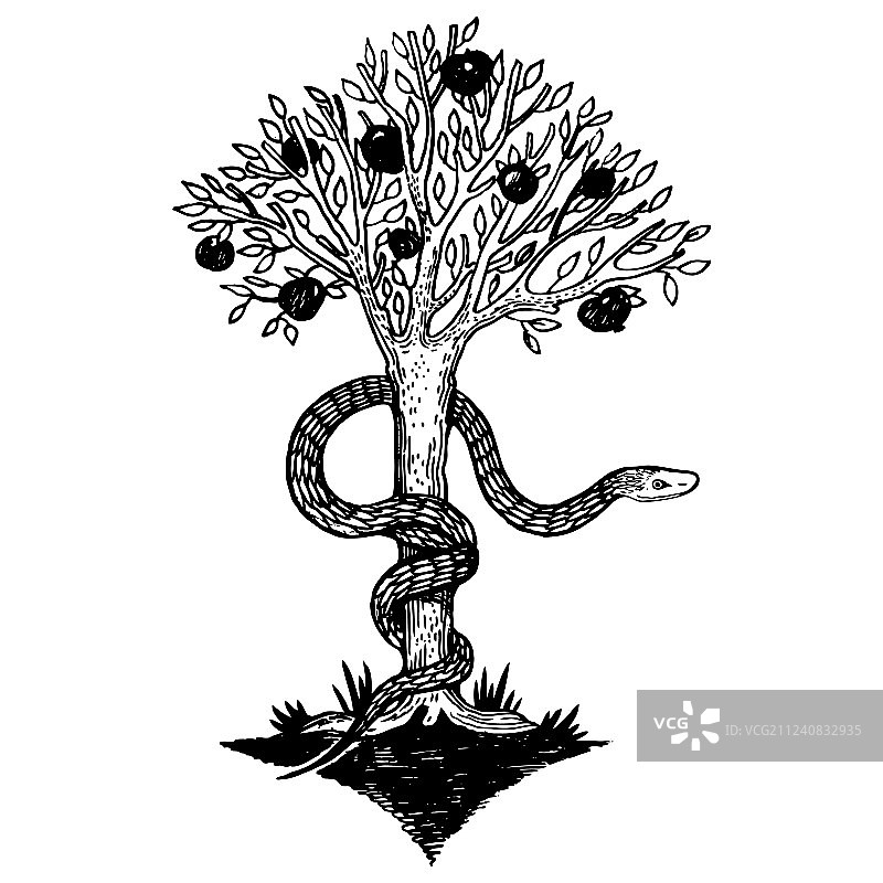 蛇与生命之树雕刻图片素材
