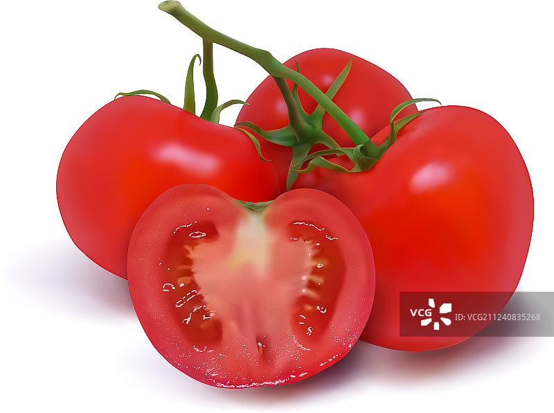 枝条上的四个红色成熟番茄图片素材
