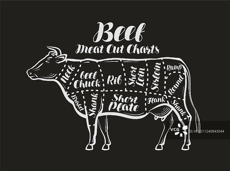 牛肉分割图概念菜单图片素材