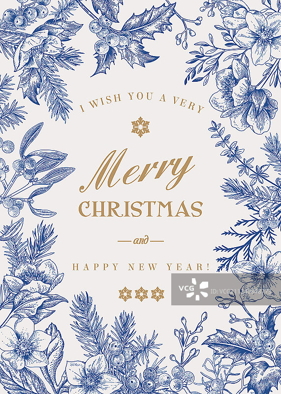 圣诞植物卡片图片素材