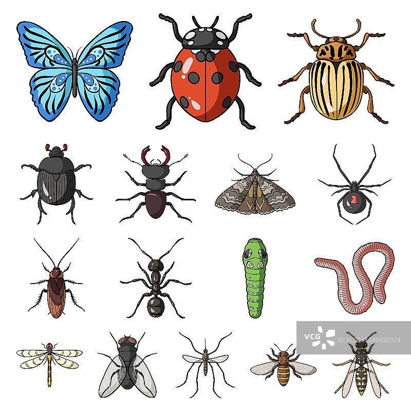 各种昆虫卡通图标合集图片素材