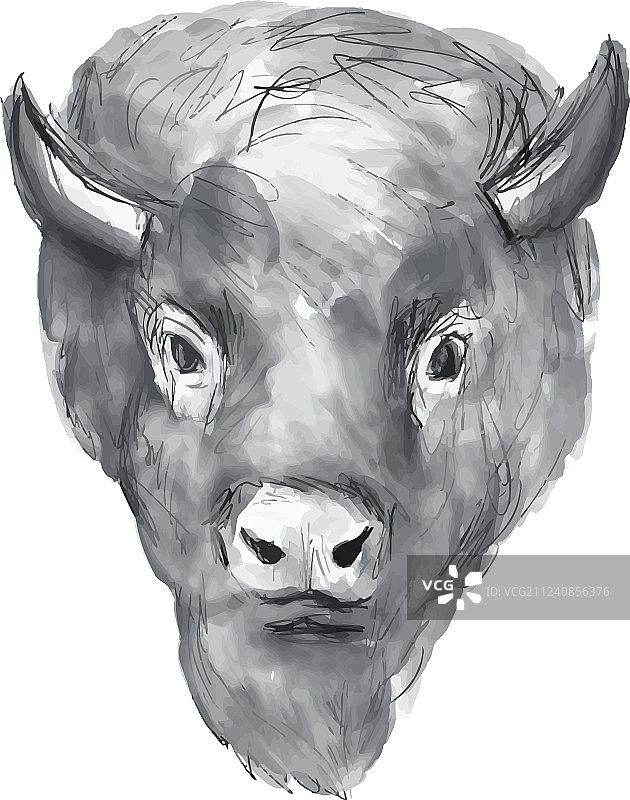 美国野牛头水彩画图片素材