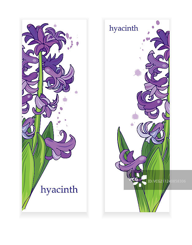 风信子banner图片素材