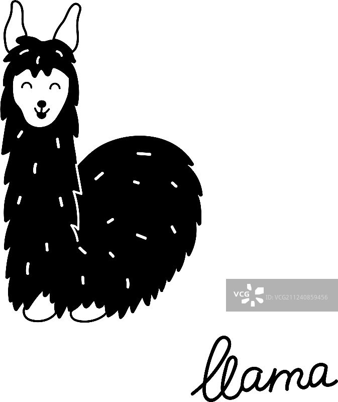 可爱美洲驼图片素材