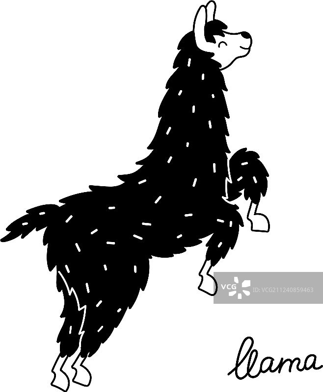 可爱美洲驼图片素材