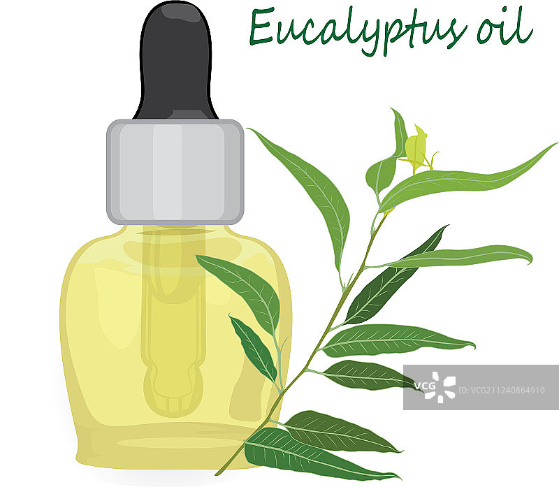 桉树精油图片素材
