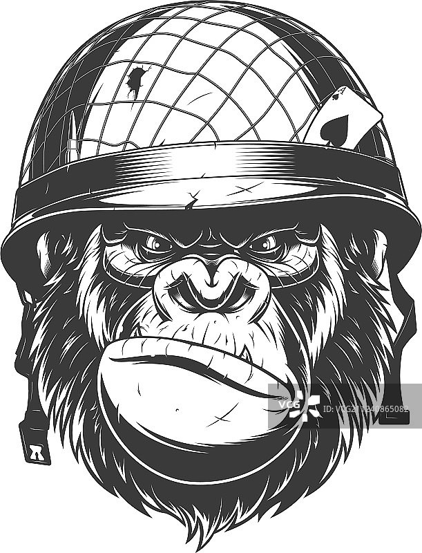 戴军用头盔的大猩猩图片素材