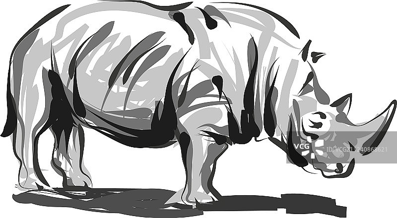 犀牛线条素描图片素材
