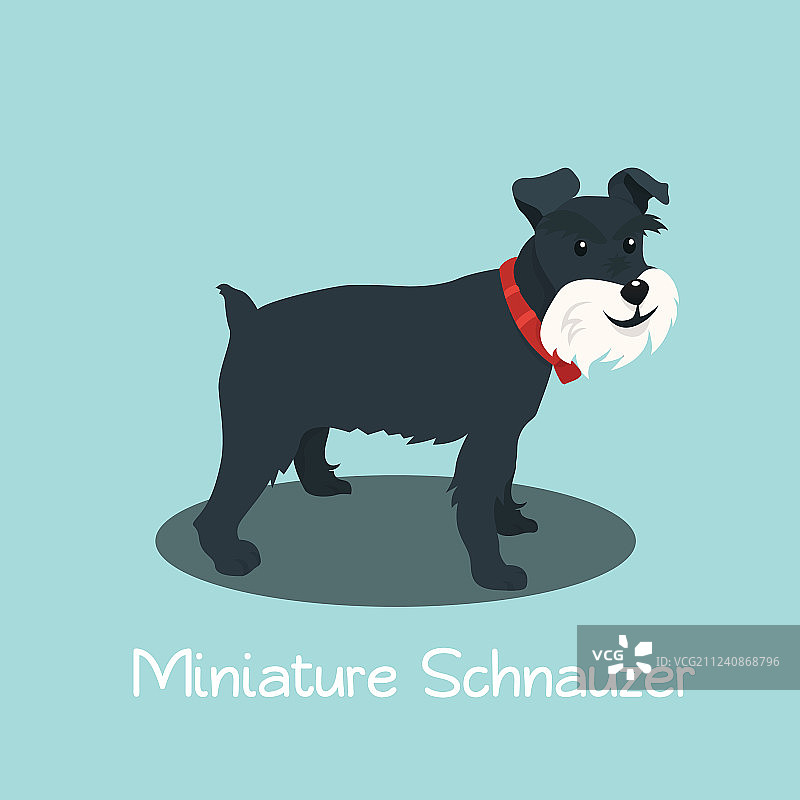 迷你雪纳瑞卡通狗插画图片素材